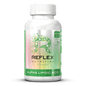 Alpha Lipoic Acid 90 Ct